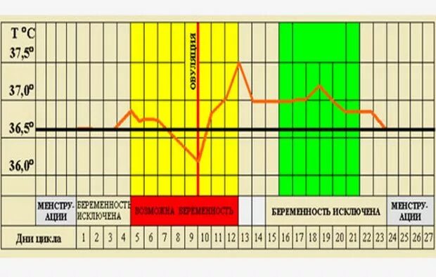 Шанс забеременеть форум. Вероятность забеременеть цикл. Вероятность беременности по циклу. Риски забеременеть по дням цикла. Таблица вероятности беременности.