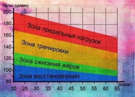 Норма пульса во время тренировки