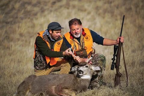 Hunt hunting