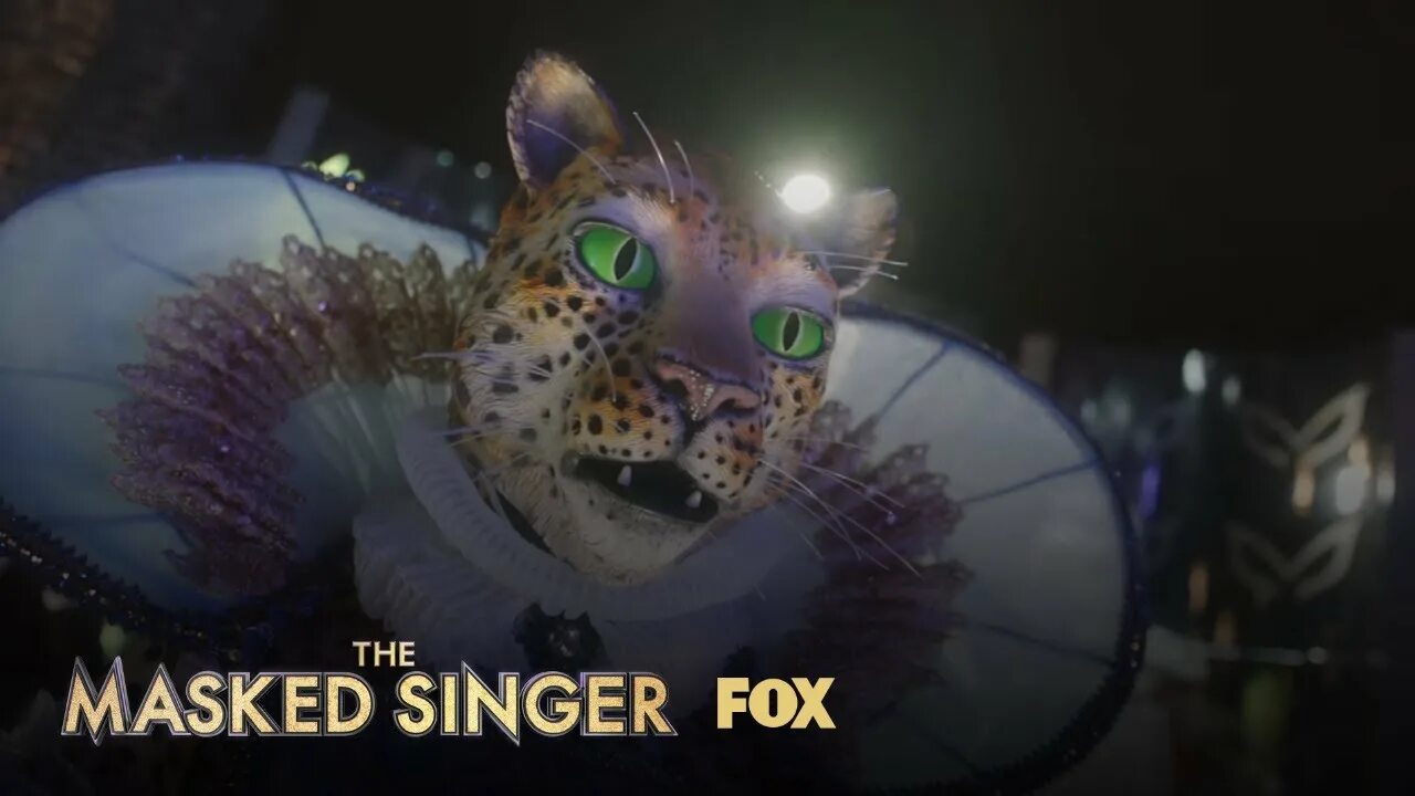 The masked Singer Leopard. The masked леопард. The masked Singer Leopard тюлень. The masked Singer Германия der Leopard. Fox субтитры