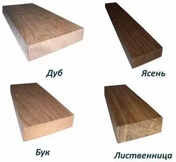 Дуб лиственница