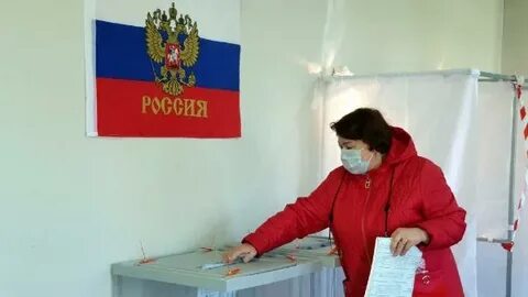 Тик выборы 2024