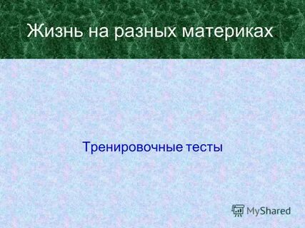 Жизнь на разных материках