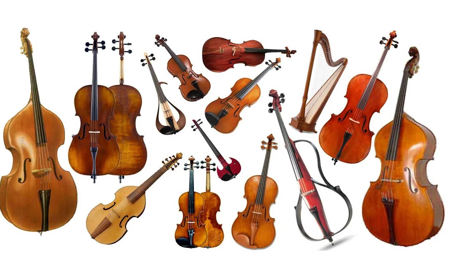 Скрипка ,виола ,альт,виолончель. Струнные смычковые скрипка альт. String в музыке. String instruments. Струнный кварыквартет.