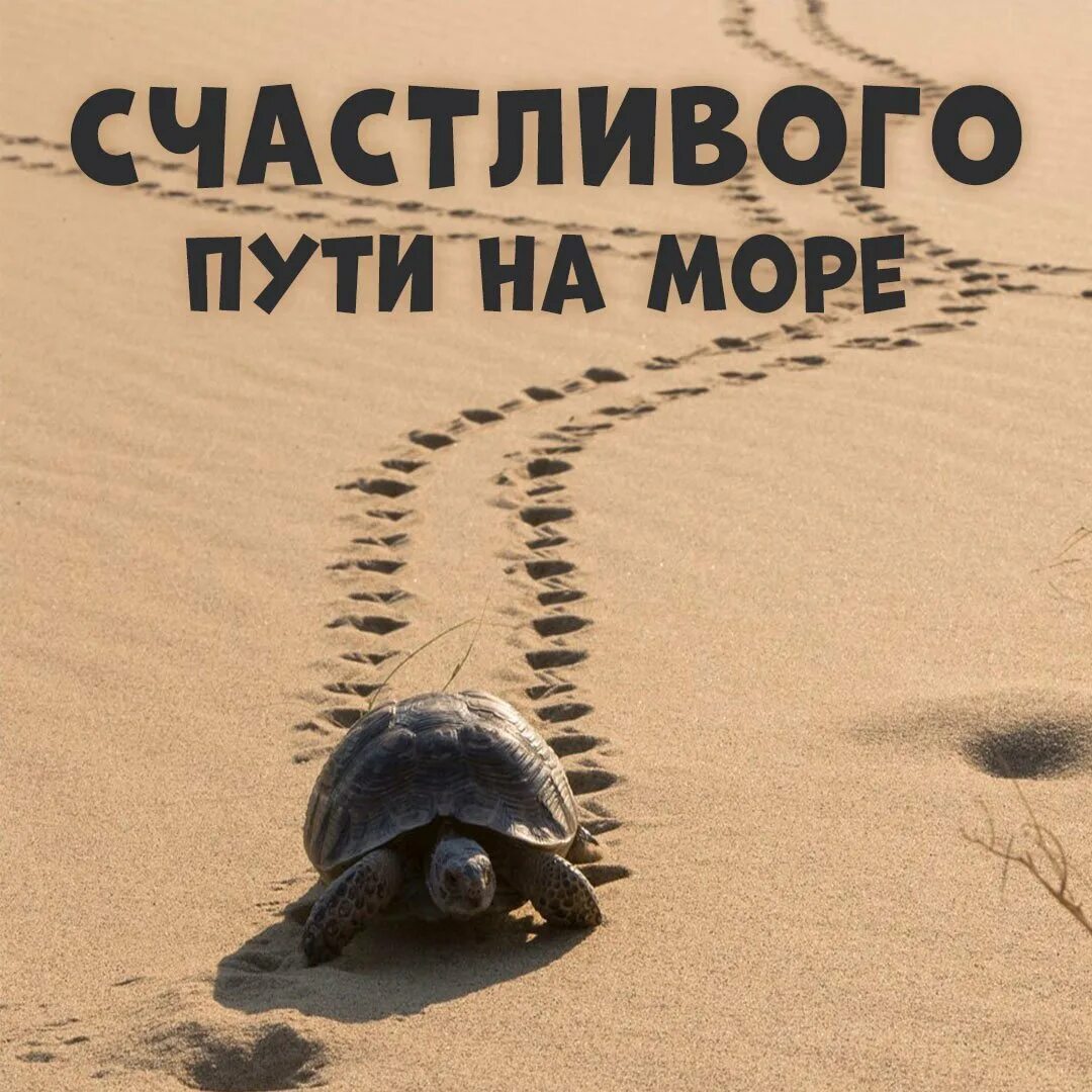 Открытки удачной дороги. Открытка счастливой поездки. Счастливого пути!. Открытки с пожеланием счастливой дороги. Открытка удачной поездки.