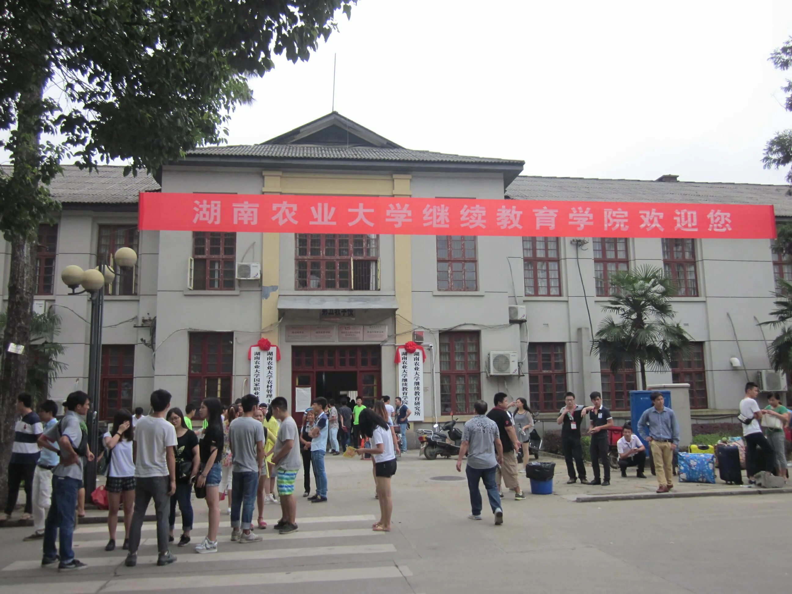 Hunan university