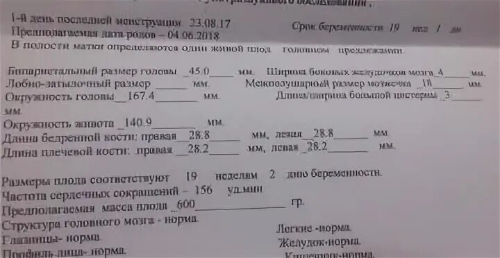 31 недель 6 дней. УЗИ на 31 неделе беременности показатели нормы. УЗИ плода в 31 неделю беременности норма вес. УЗИ 31 неделя беременности норма. УЗИ 26 недель беременности показатели нормы.