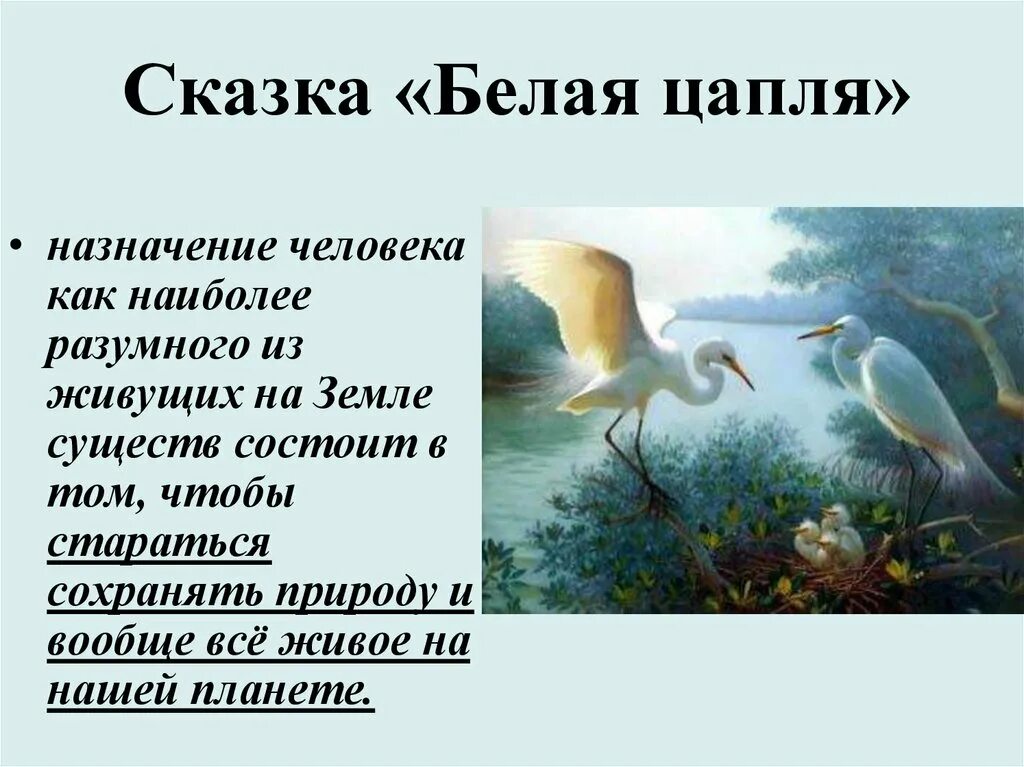 Белые цапли текст