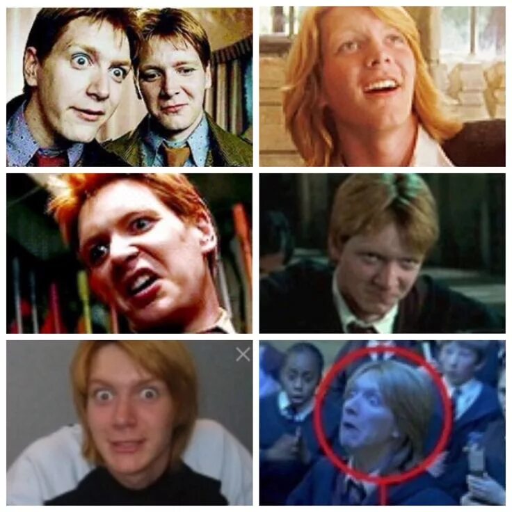 #HarryPotter #winter #Hogwarts #Phelps_Twins #Weasley #weasleytwins #weasleyfami