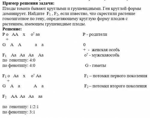 Решение по биологии 11. Задачи по генетике на моногибридное скрещивание 9 класс. Генетические задачи по биологии 10 класс моногибридное скрещивание. Задачи по биологии моногибридное скрещивание. Задача по биологии по моногибридному скрещиванию.