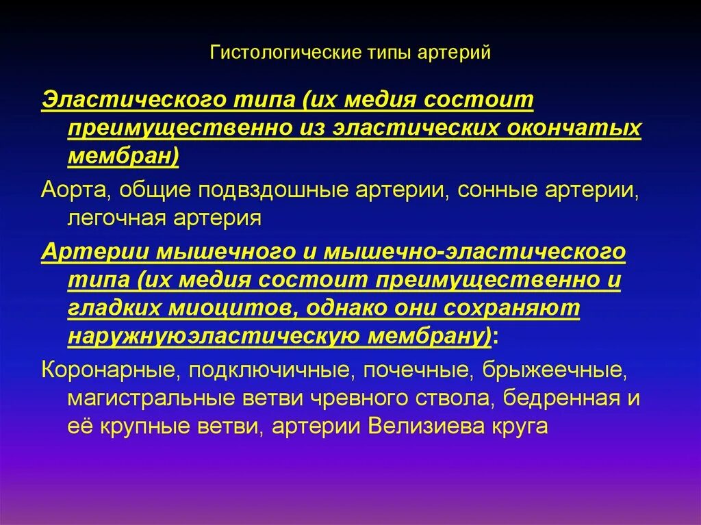 Для артерий характерен признак. Клапаны в артериях или венах. Анатомическое строение вен. Кровотечения презентация. Общая анатомия венозной системы: принципы строения и функции.