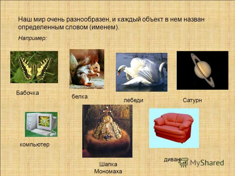Будете очень разнообразно и. Наш мир очень разнообразен. мир очень разнообразен. очень разнообразно.