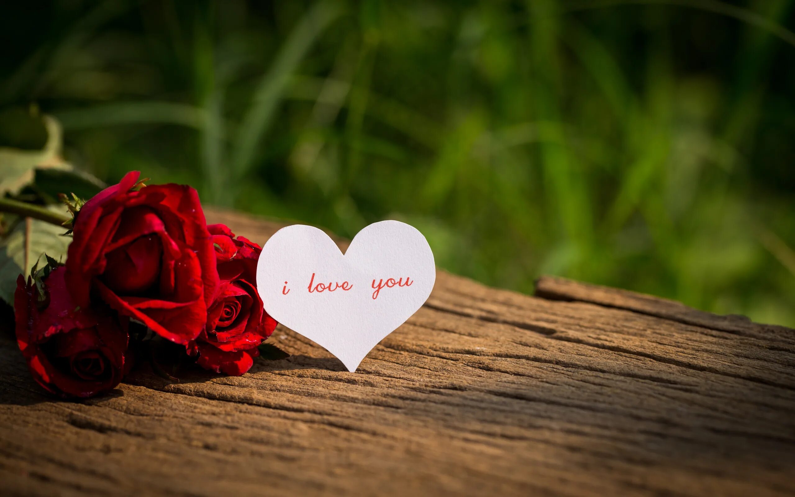 Rose rose i love you. I love you чечня. I love you картинки красивые. Цветы i love you. Розы в сердце.