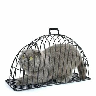 Клетка для кота