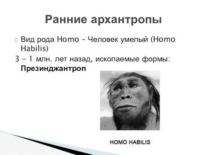 Ранние люди