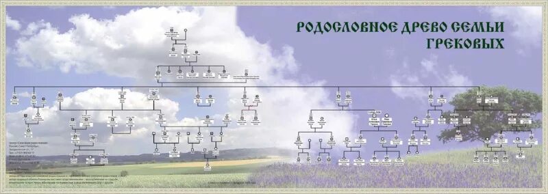 Бесплатная программа родословная семьи. Генеалогическое древо программа. древо планов. приложение семейное древо. дерево генеалогическое программа.