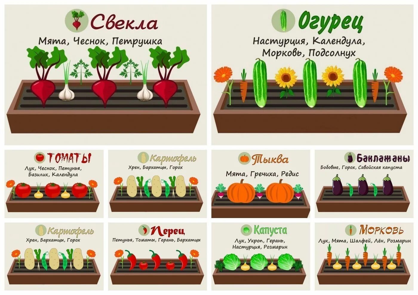 Примеры посадки овощей. Схема посадки овощей. Схемы посадок овощей на грядках. Схема посадки грядок. Схема посадки совместимых растений.