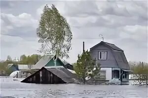 Вода в ишиме викулова