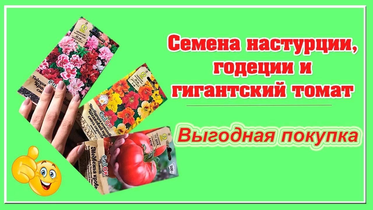 Семена цветов в магните. Семена в магазине магнит. Цветочные семена в магазинах магнит. Семена в магните каталог.