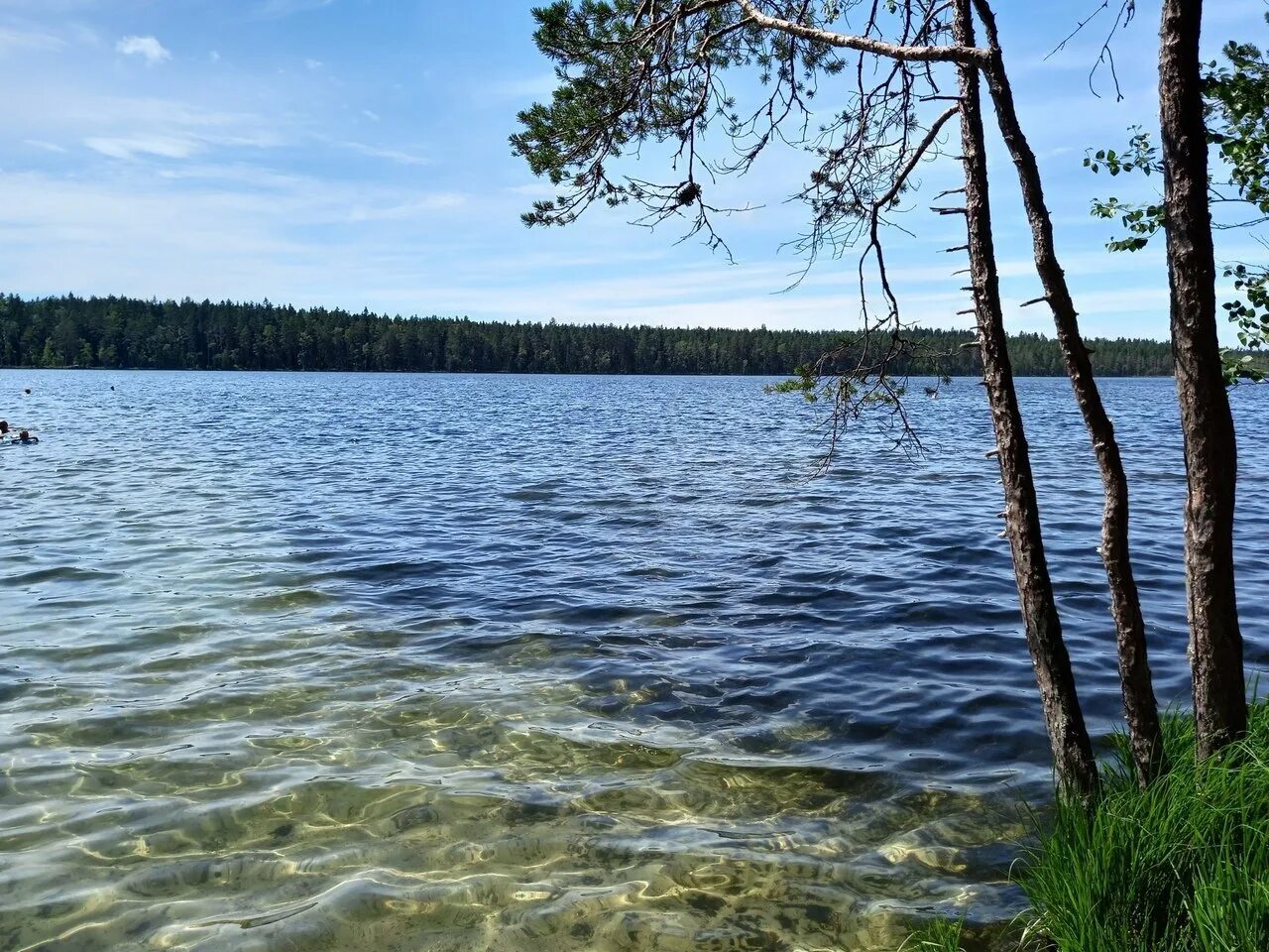 Озеро отдельное ленинградская область