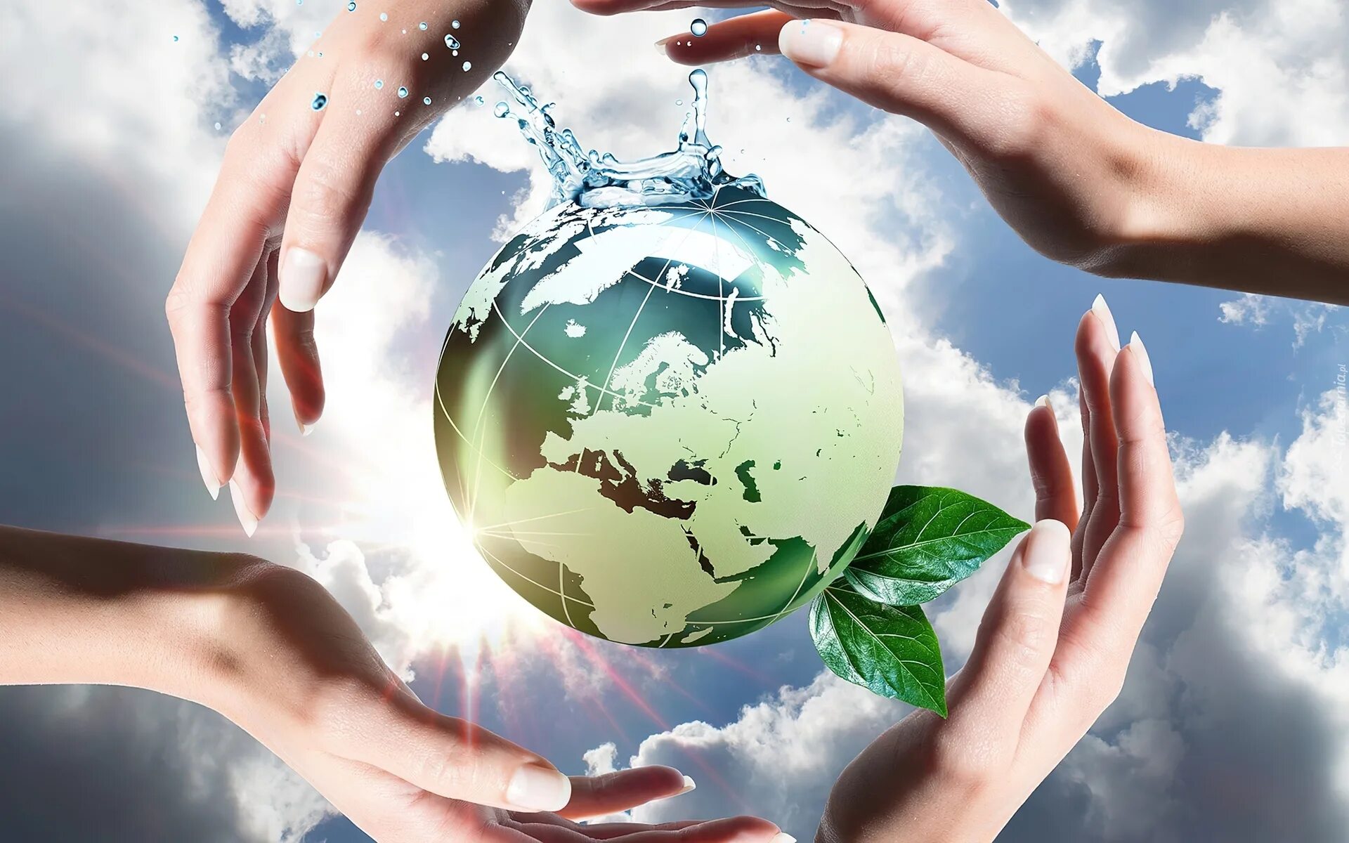 Природа экология. Охрана окружающий среды. Сохранять природу и окружающую среду. Экологически чистая природа. Экология.
