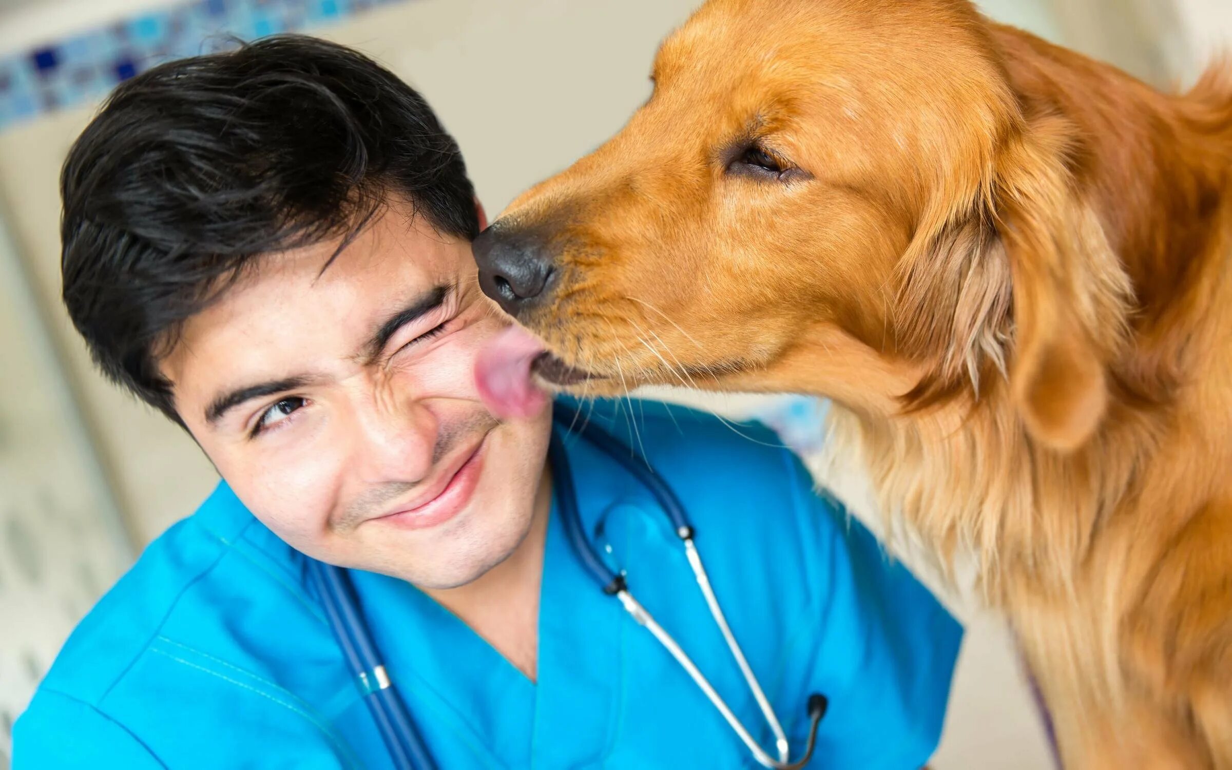 Врач животных. Ветеринар. Ветеринар. Белый попугай ветеринарная клиника курск. Щенок у ветеринара.