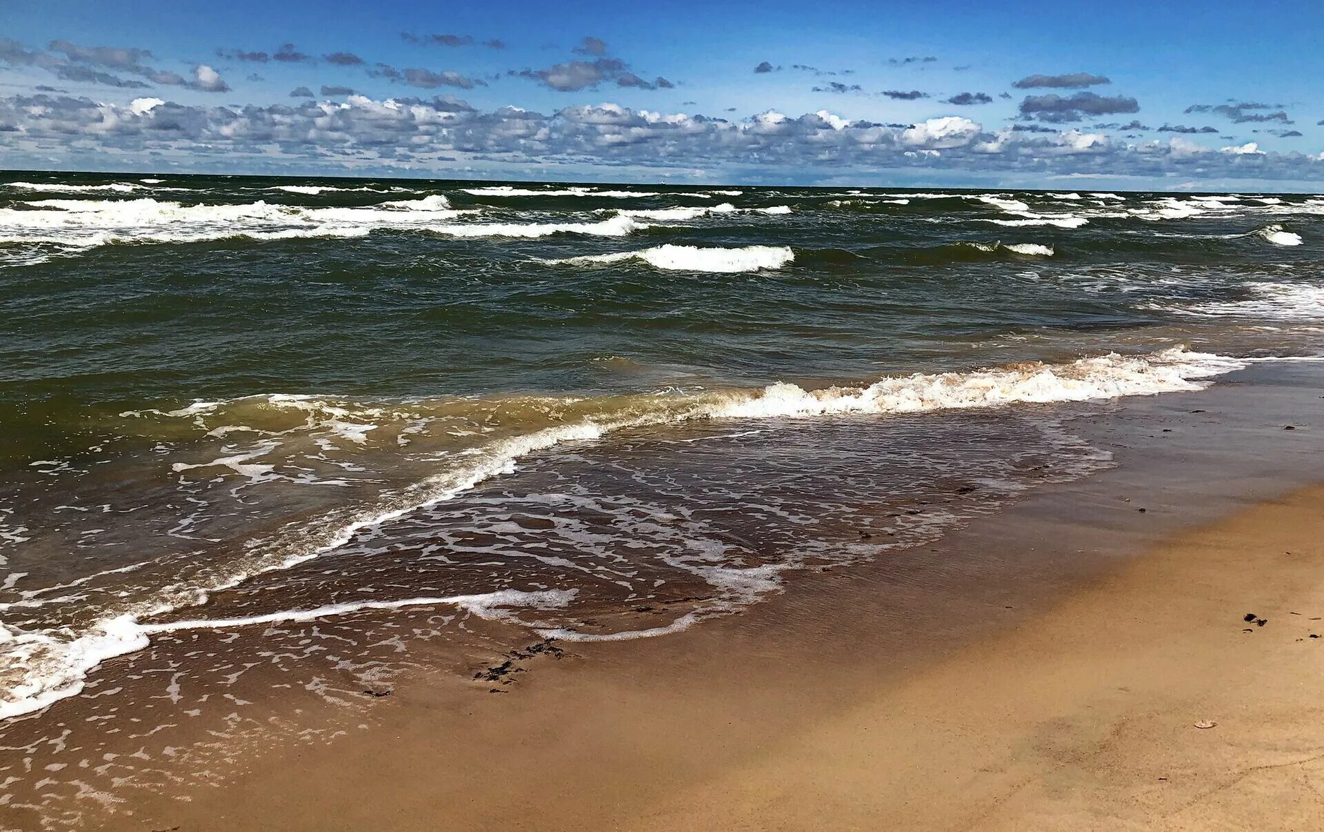 Богатство балтийского моря. Балтийское море Паланга. Балтийское море Литва. Балтийское море Швеция.