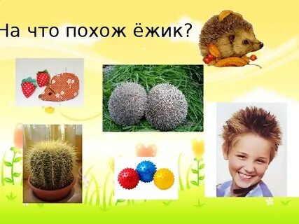 Ежик похож