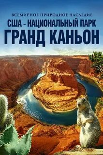 Афиша каньоны