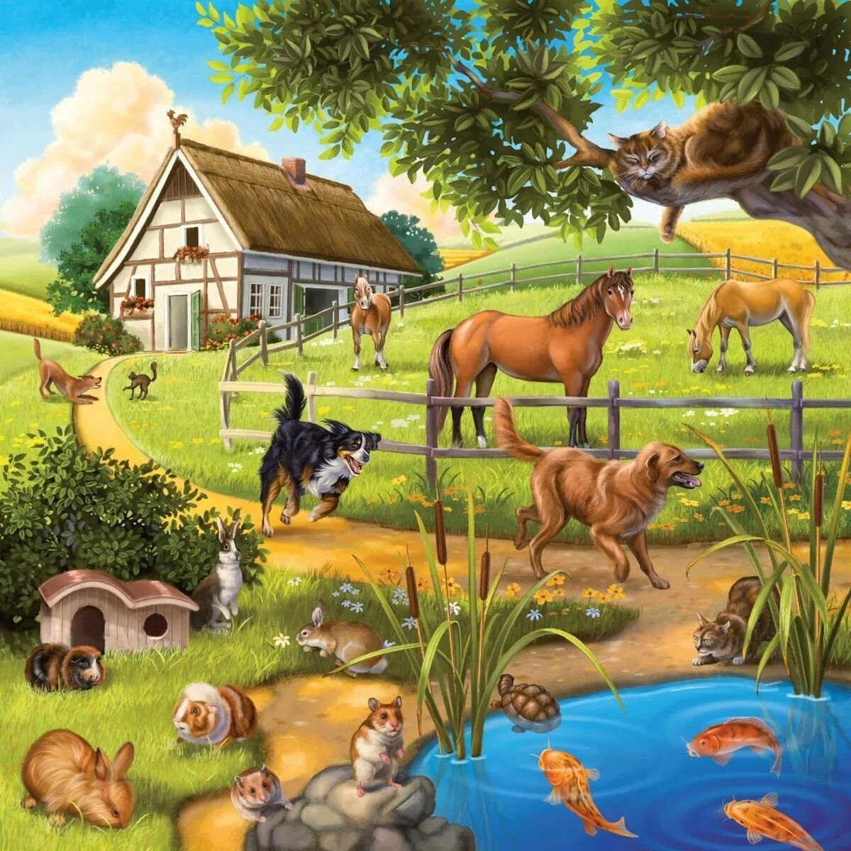 Животные на ферме. Домашние животные на ферме. Домашние животные для детей. Домашние животные домики.