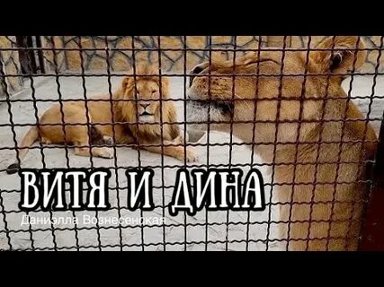 Витя получил 2