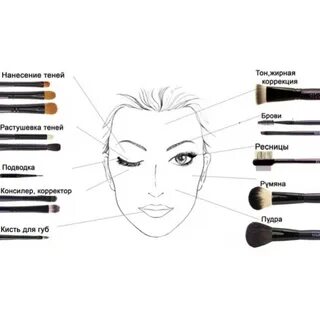 Кисть для помады и ее применение в макияже