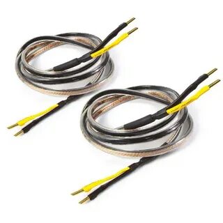 Oval plus