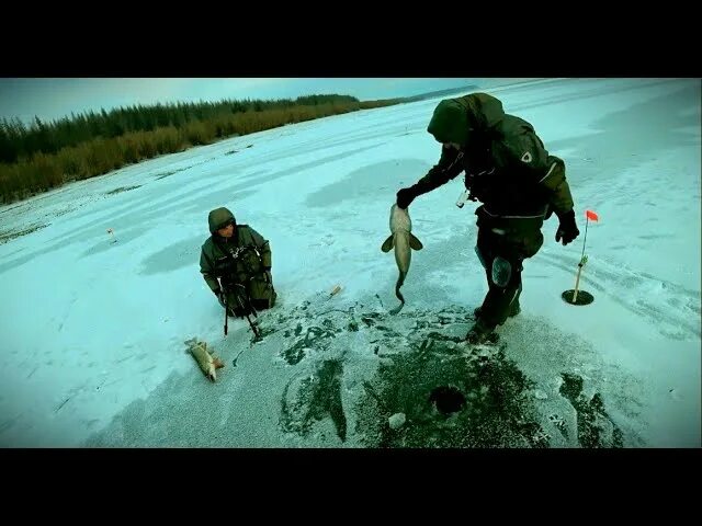 Клёвая рыбалка в Якутии 2021. Рыбалка в Якутии 2020 2021. Первый лед 2020 зимняя рыбалка в Якутии. Клевая рыбалка в Якутии 2020.