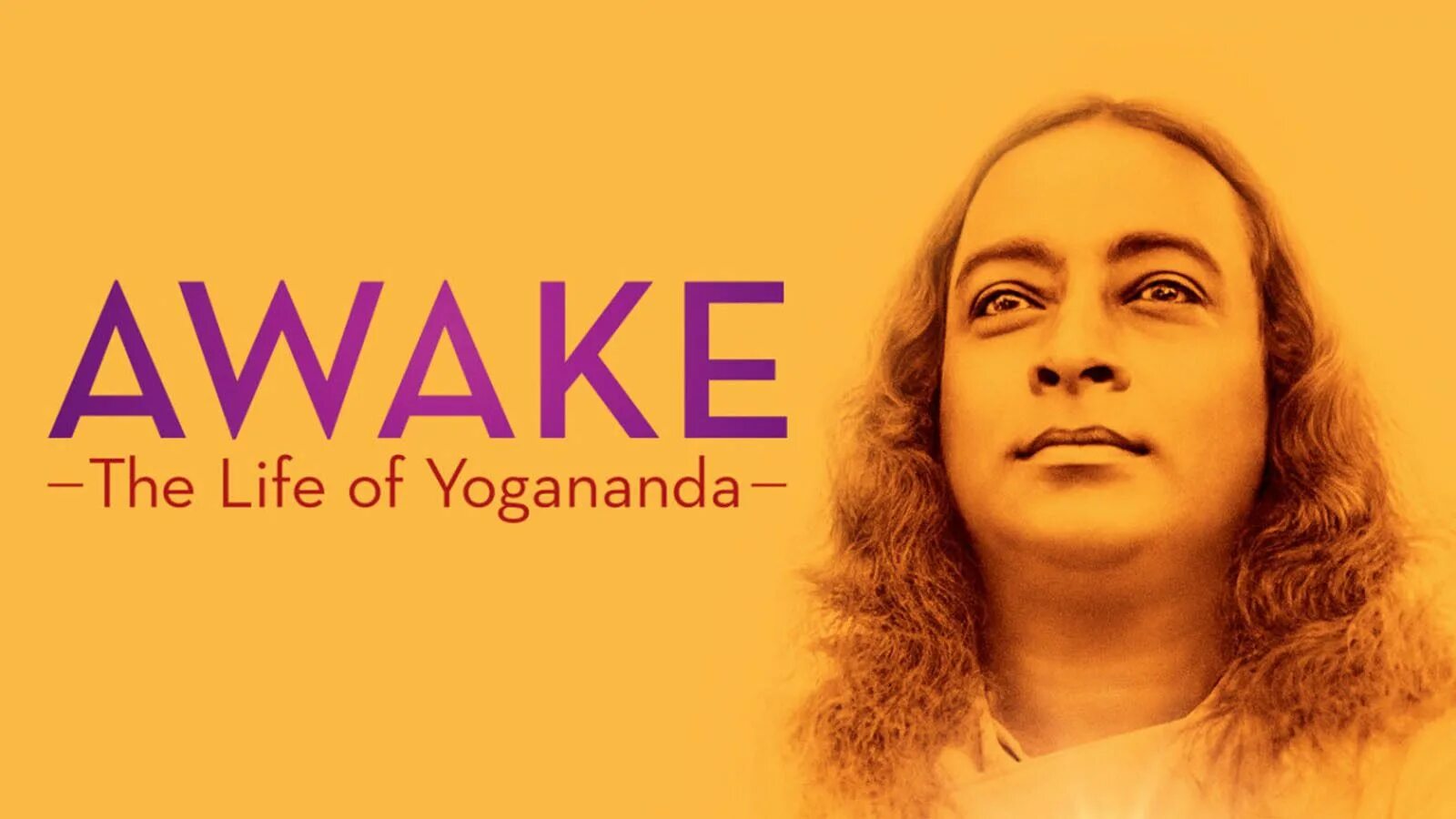 Buzzkill песня. Автобиография йога. Awake life. Awake the life of yoga. Skillet awake and alive обложка.