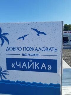 Карта чайка