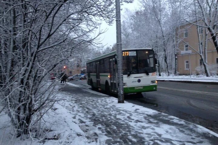 Автобус Пушкин. Автобус 187 Пушкин. Автобус в Пушкине. Автобус в Пушкине зима.