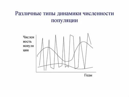 Изучение численности популяции по годам метод