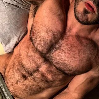 TheBearNakedHair(@bearnaked_hair) 's Twitter Profile. 