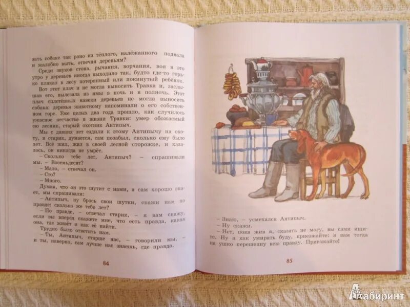Лисичкин хлеб распечатать текст полностью. Сказки пришвина лисичкин хлеб. иллюстрация к рассказу пришвина лисичкин хлеб. пришвин лисичкин хлеб книга.