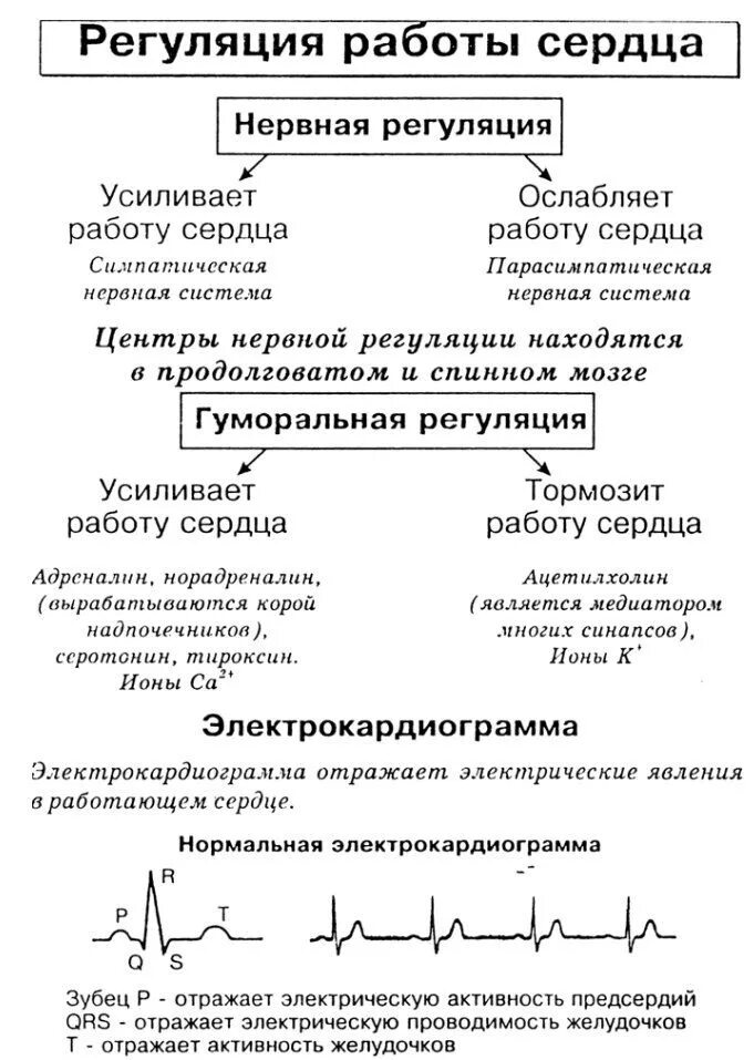 Гуморальная регуляция работы сердца осуществляется. Нейрогуморальная регуляция сердца таблица. Регуляция деятельности сердца таблица. Гуморальная регуляция деятельности сердца таблица. Схема регуляции сердечной деятельности.