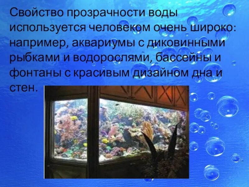 Определи прозрачность жидкостей с помощью луча света. Определи прозрачность жидкостей с помощью луча света