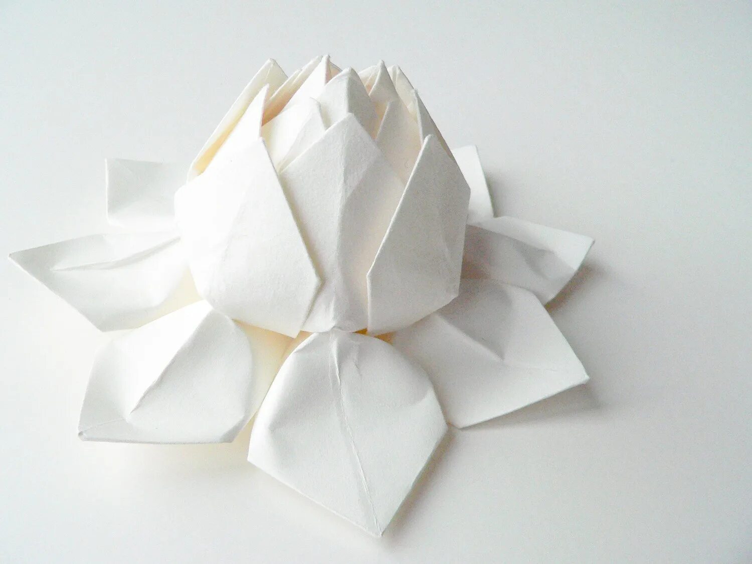 Сделать своими руками из белой бумаги. Белый цветок из бумаги. Белый цветок оригами. Оригами из белой бумаги. Оригами белый цветок из бумаги.