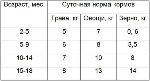 Сколько надо давать