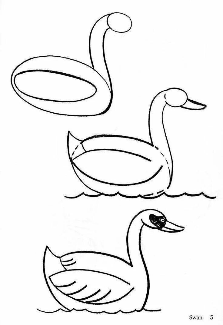 Нарисовать рисунок лебедушка. Лебедь рисунок. Лебедь рисунок для детей. Рисунок лебедя для срисовки. Поэтапный рисунок лебедя.