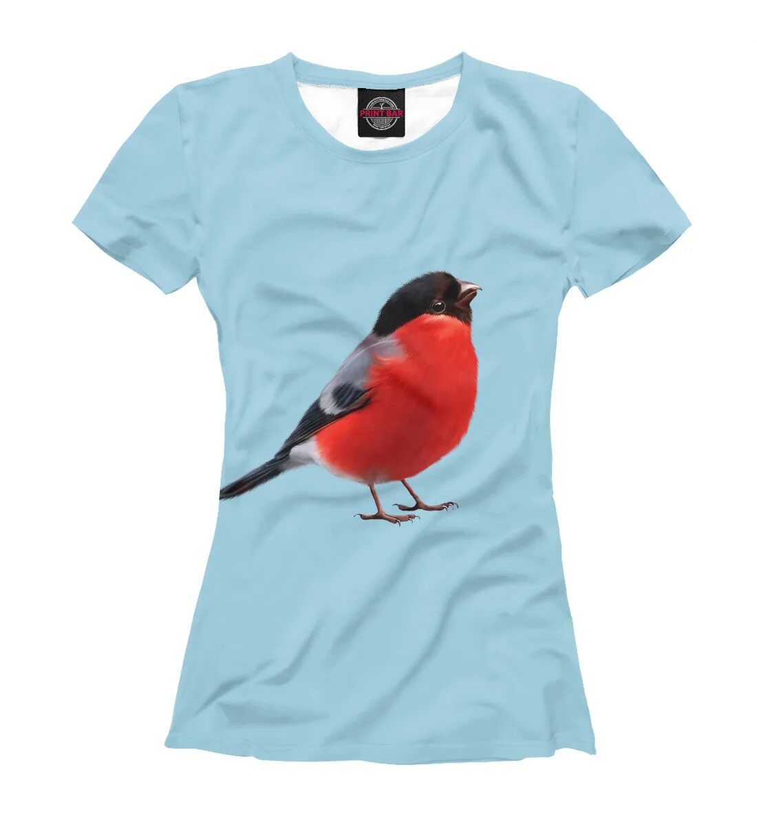 Снегирь баба. Свитер женский со снегирями. Снегирь птица самка. Снегирь женщина. Серогрудый снегирь.