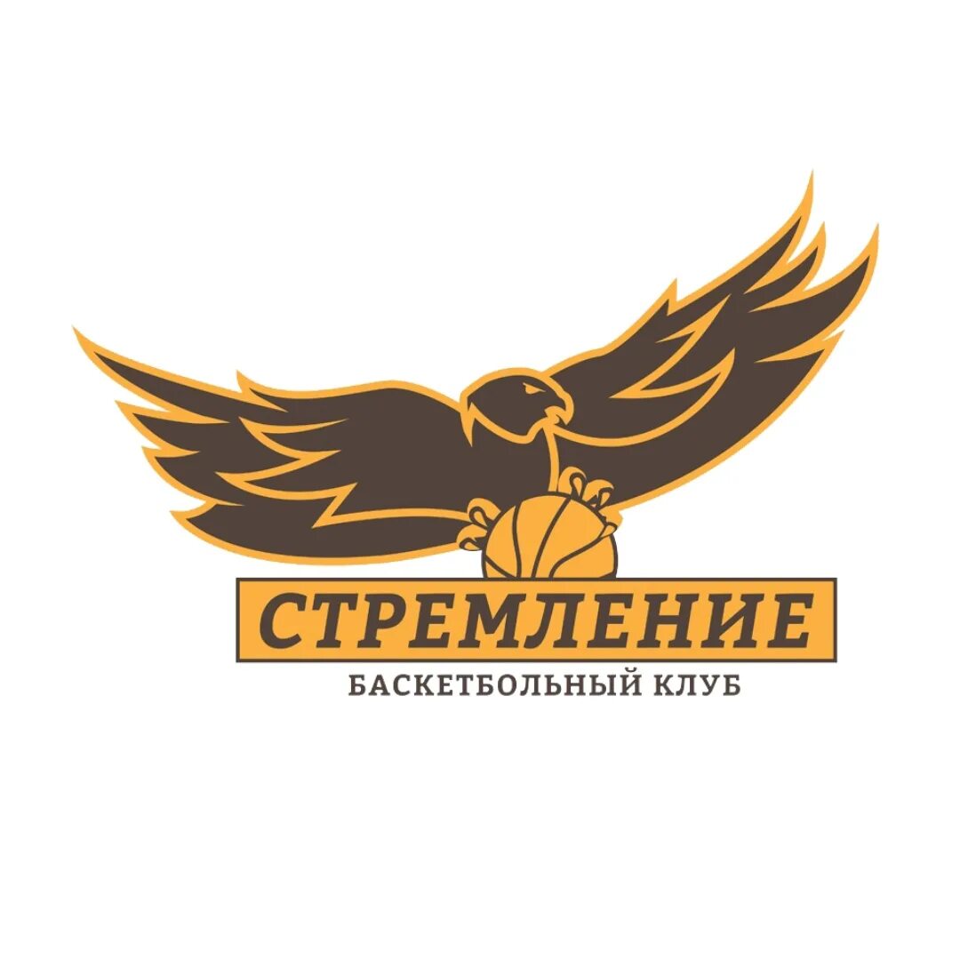 Стремление новосибирск. Стремление новосибирск. Баскетбол. Стремление баскетбольный клуб. Стремление баскетбольный клуб новосибирск.