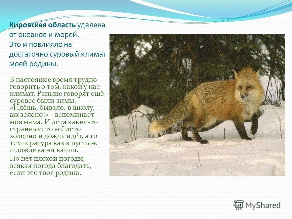 Климат Кировской области - презентация онлайн