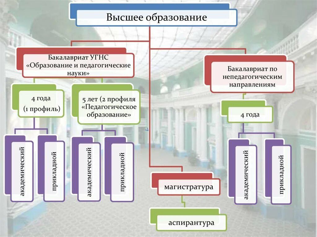 Бакалавриат полное образование. Высшее образование это какое. Высшее образование бакалавриат. Бакалавр это высшее образование. Уровень образования бакалавр.