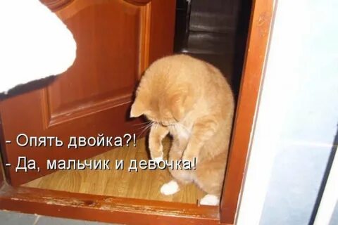 Чтобы два раза не вставать